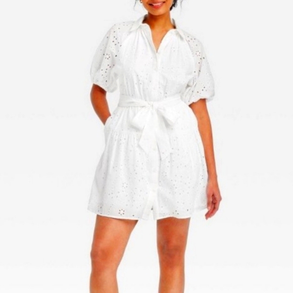 button-tie front eyelet flared dress, cotton raglan Puff sleeves, size L. - Picture 1 of 16